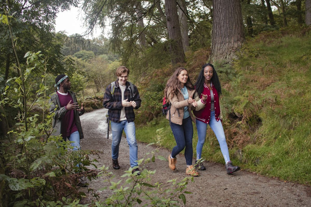 Young people walking in woodland